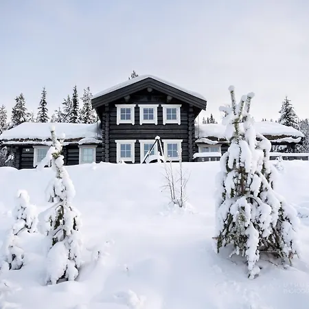 Nesfjellet Villa Nesbyen Exterior photo