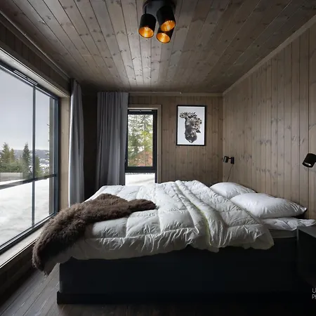 Nesfjellet Villa Nesbyen Exterior photo