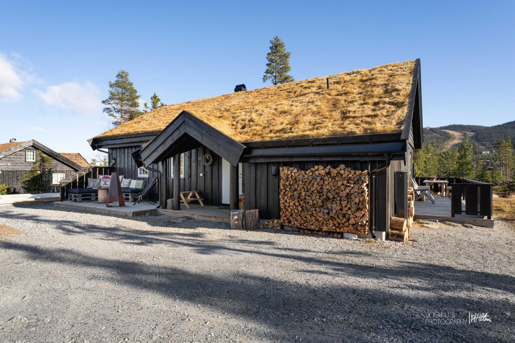 Nesfjellet Nesbyen