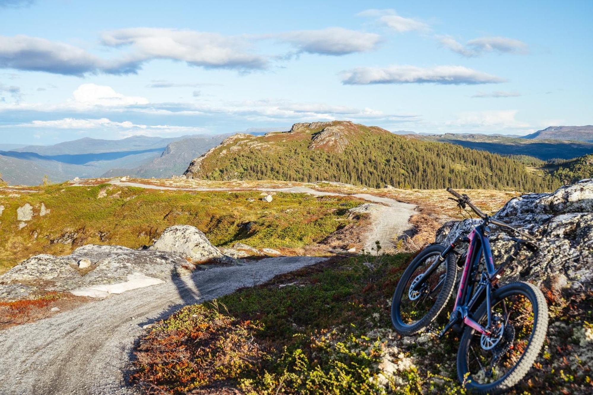Nesfjellet Nesbyen